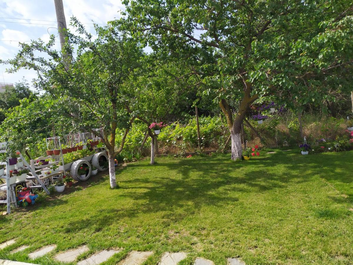 Villa Savovi 瓦爾納 外观 照片